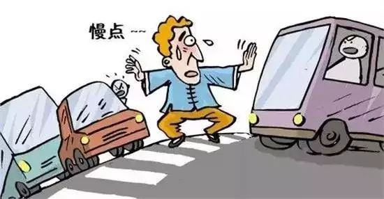 停車讓行標(biāo)志沒停車出了事故誰的責(zé)任