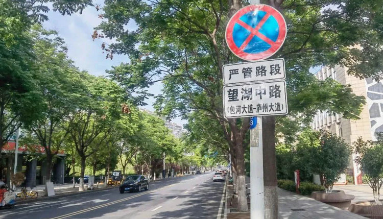 禁停路段停車多長時間算違章