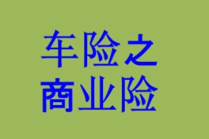 車(chē)輛損失險(xiǎn)是什么意思 車(chē)輛受到保險(xiǎn)范圍損害可理賠（雷擊/暴雨）