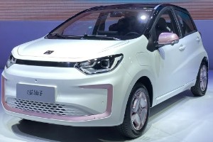 花仙子電動(dòng)汽車(chē)價(jià)格圖片 2023款花仙子售價(jià)6萬(wàn)(落地價(jià)7萬(wàn))