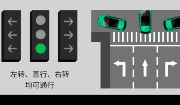 新國(guó)標(biāo)紅綠燈信號(hào)燈圖解 共有8個(gè)圖解(8種應(yīng)對(duì)措施)