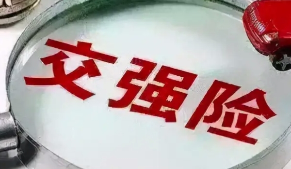 一般車(chē)險(xiǎn)都買(mǎi)那些 根據(jù)實(shí)際使用用車(chē)情況購(gòu)買(mǎi)（交強(qiáng)險(xiǎn)/商業(yè)險(xiǎn)）