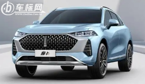 一個(gè)豎長條的車標(biāo)suv 魏派汽車品牌(中國豪華suv品牌)