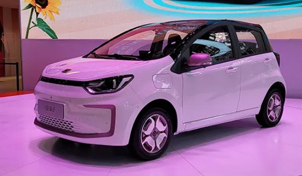 花仙子電動汽車價(jià)格圖片 2023款花仙子售價(jià)6萬(落地價(jià)7萬)